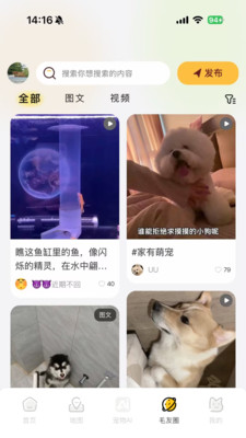 毛毛GO免费版下载3 毛毛GO免费版下载3