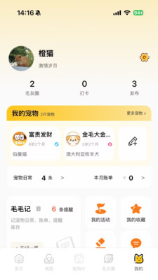 毛毛GO免费版下载4 毛毛GO免费版下载4