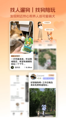 爱犬安卓版下载