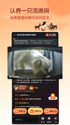 爱犬安卓版下载2 爱犬安卓版下载2