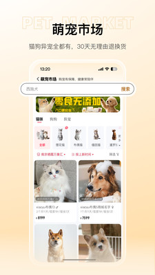 宠胖胖免费版下载3 宠胖胖免费版下载3